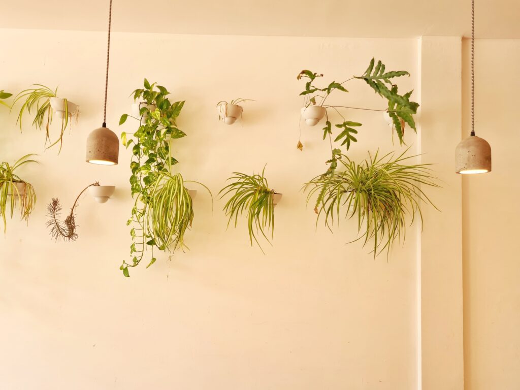 Wall mounted planters
