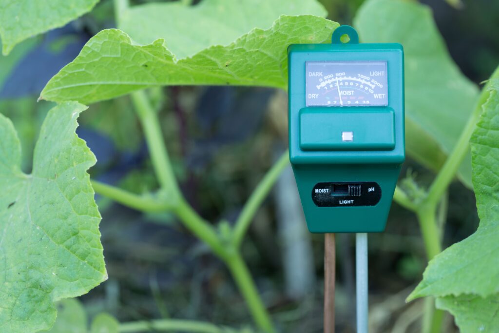 moisture meter indoor garden